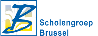 Brusselse scholengroep