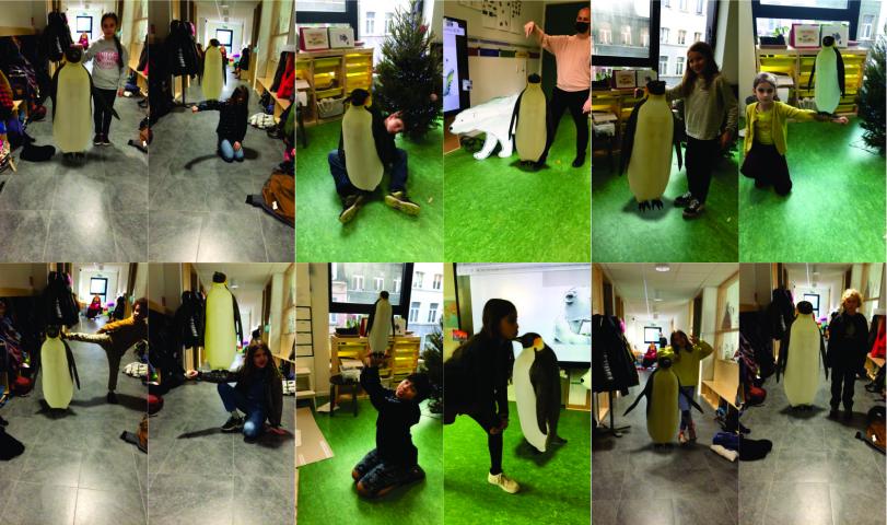 Pinguïns in de leefgroep van Erik